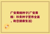 广安黄精种子(广安黄精：珍贵种子营养全面，助您健康生活)