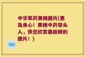 中华草药黄精图片(惠及身心！黄精中药带头人，供您欣赏最新鲜的图片！)