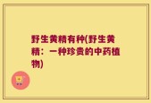 野生黄精有种(野生黄精：一种珍贵的中药植物)