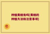 种植黄精有吗(黄精的种植方法和注意事项)