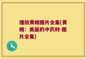 播放黄精图片全集(黄精：美丽的中药材-图片全集)