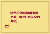 红色花朵的黄精(黄精之美：探寻红色花朵的奥秘)