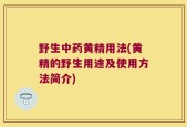 野生中药黄精用法(黄精的野生用途及使用方法简介)