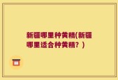 新疆哪里种黄精(新疆哪里适合种黄精？)