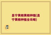 昌宁黄精黄精种植(昌宁黄精种植全攻略)
