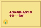 山区种黄精(山区珍贵中药——黄精)