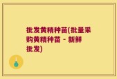 批发黄精种苗(批量采购黄精种苗 - 新鲜批发)