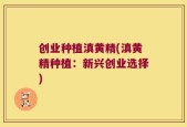 创业种植滇黄精(滇黄精种植：新兴创业选择)