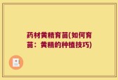 药材黄精育苗(如何育苗：黄精的种植技巧)