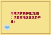 乐陵滇黄精种植(乐陵：滇黄精地区性优势产业)