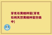 牙克石黄精种苗(牙克石纯天然黄精种苗热销中)