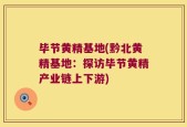 毕节黄精基地(黔北黄精基地：探访毕节黄精产业链上下游)