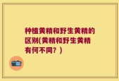 种植黄精和野生黄精的区别(黄精和野生黄精有何不同？)