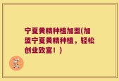 宁夏黄精种植加盟(加盟宁夏黄精种植，轻松创业致富！)