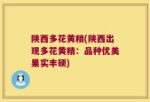 陕西多花黄精(陕西出现多花黄精：品种优美果实丰硕)