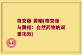 夜交藤 黄精(夜交藤与黄精：自然药物的双重功效)