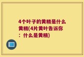 4个叶子的黄精是什么黄精(4片黄叶告诉你：什么是黄精)