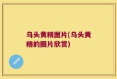 乌头黄精图片(乌头黄精的图片欣赏)