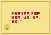 大棚栽培黄精(大棚种植黄精：优质、高产、高效！)