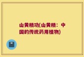 山黄精功(山黄精：中国的传统药用植物)
