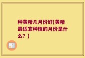 种黄精几月份好(黄精最适宜种植的月份是什么？)