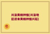 川渝黄精种植(川渝地区迎来黄精种植兴起)