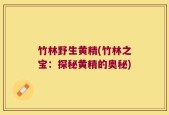 竹林野生黄精(竹林之宝：探秘黄精的奥秘)
