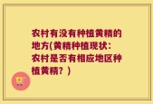 农村有没有种植黄精的地方(黄精种植现状：农村是否有相应地区种植黄精？)