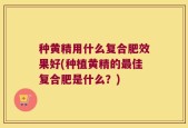 种黄精用什么复合肥效果好(种植黄精的最佳复合肥是什么？)