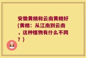 安徽黄精和云南黄精好(黄精：从江南到云南，这种植物有什么不同？)