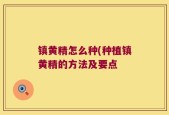 镇黄精怎么种(种植镇黄精的方法及要点