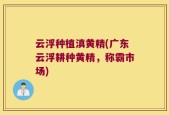 云浮种植滇黄精(广东云浮耕种黄精，称霸市场)