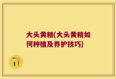 大头黄精(大头黄精如何种植及养护技巧)