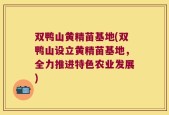 双鸭山黄精苗基地(双鸭山设立黄精苗基地，全力推进特色农业发展)