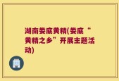 湖南娄底黄精(娄底“黄精之乡”开展主题活动)