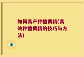 如何高产种植黄精(高效种植黄精的技巧与方法)