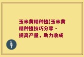 玉米黄精种植(玉米黄精种植技巧分享 - 提高产量，助力收成