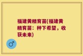 福建黄精育苗(福建黄精育苗：种下希望，收获未来)