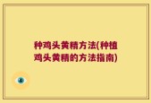 种鸡头黄精方法(种植鸡头黄精的方法指南)