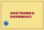 怎样高产栽培黄精(高效培育黄精的技巧)