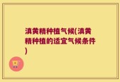 滇黄精种植气候(滇黄精种植的适宜气候条件)