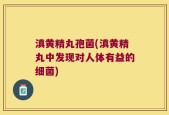 滇黄精丸孢菌(滇黄精丸中发现对人体有益的细菌)