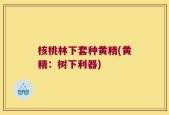 核桃林下套种黄精(黄精：树下利器)