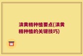 滇黄精种植要点(滇黄精种植的关键技巧)