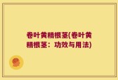 卷叶黄精根茎(卷叶黄精根茎：功效与用法)