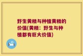 野生黄精与种植黄精的价值(黄精：野生与种植都有巨大价值)