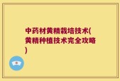 中药材黄精栽培技术(黄精种植技术完全攻略)