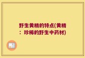 野生黄精的特点(黄精：珍稀的野生中药材)