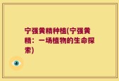 宁强黄精种植(宁强黄精：一场植物的生命探索)