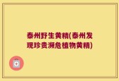 泰州野生黄精(泰州发现珍贵濒危植物黄精)